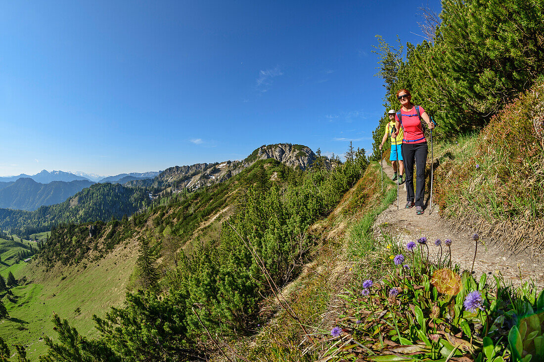 Mann und Frau wandern auf schmalem Weg zum Hochfelln, Hochfelln, Chiemgauer Alpen, Salzalpensteig, Oberbayern, Bayern, Deutschland