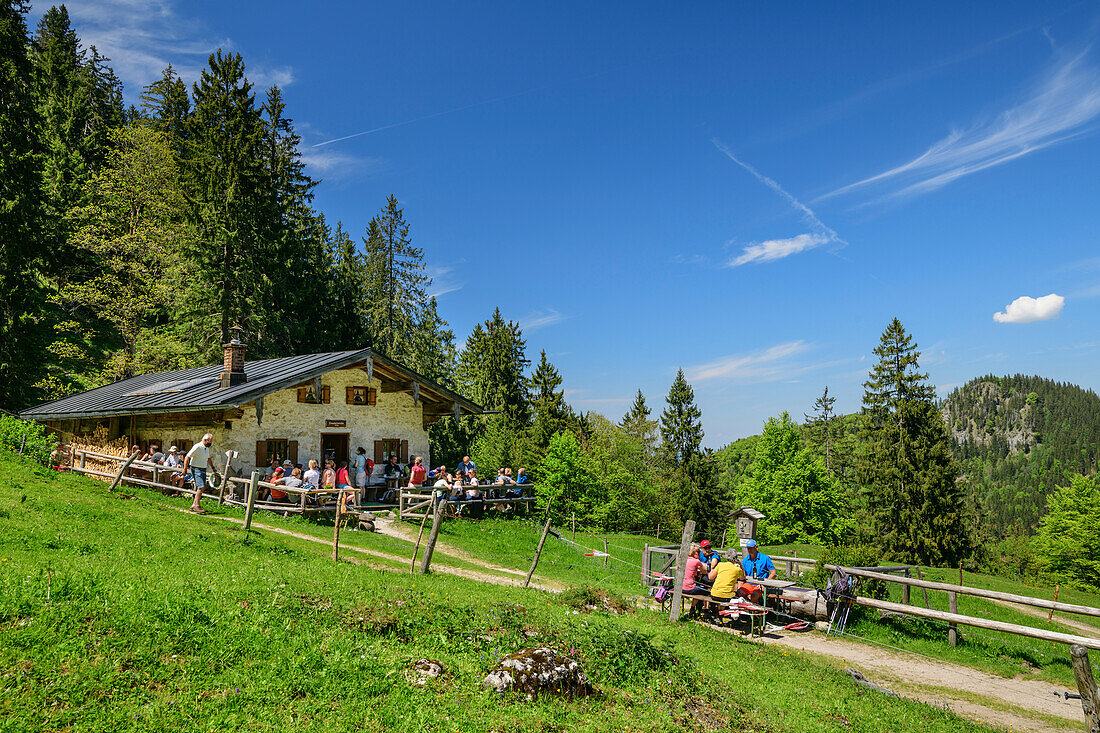 Guests sit at Staudacher Alm, Hochgern, Chiemgau Alps, Salzalpensteig, Upper Bavaria, Bavaria, Germany