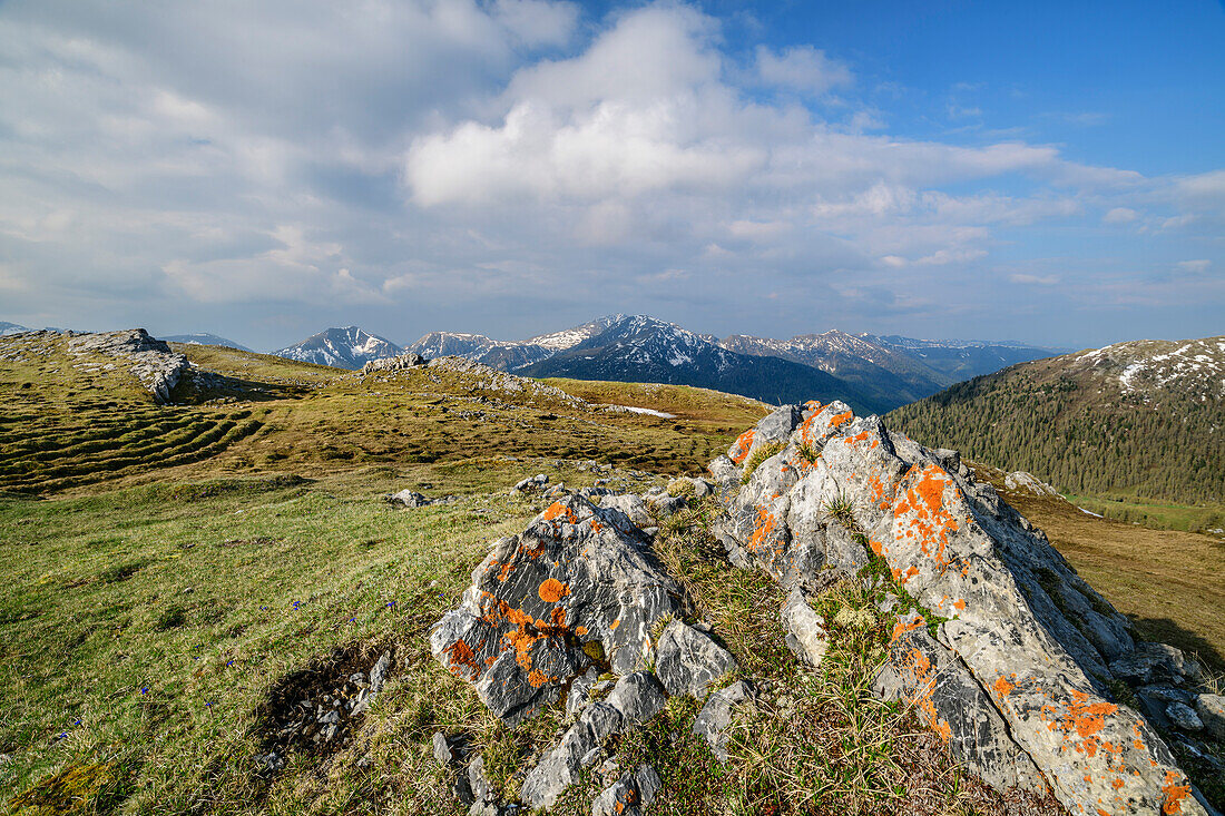 Flechtenbewachsene Felsen mit Nockberge im Hintergrund, Königstuhl, Nockberge, Nockberge-Trail, UNESCO Biosphärenpark Nockberge, Gurktaler Alpen, Kärnten, Österreich