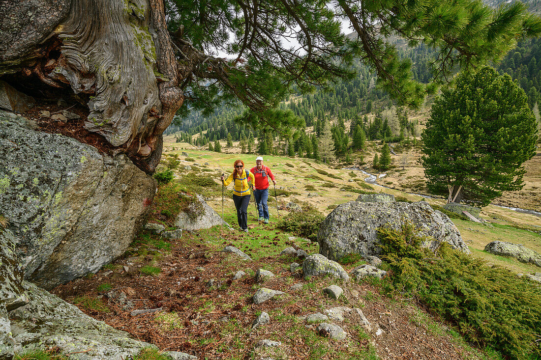 Man and woman hike between boulders, Rosanintal, Königstuhl, Nockberge, Nockberge-Trail, UNESCO Nockberge Biosphere Park, Gurktal Alps, Carinthia, Austria