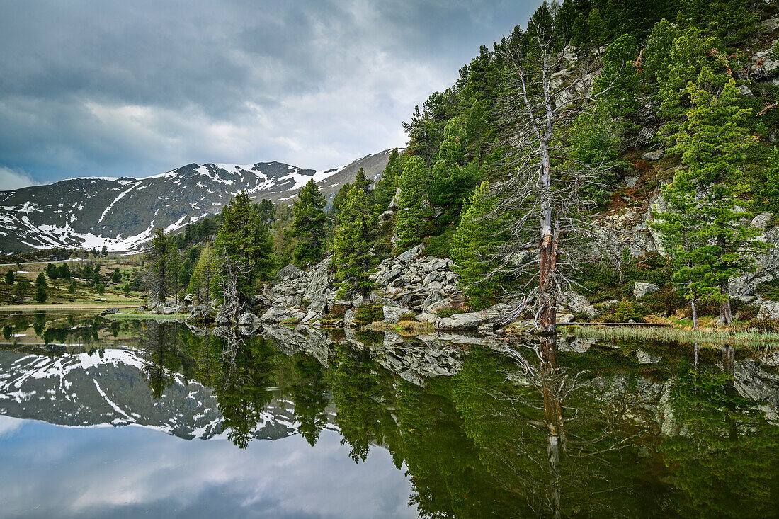 Nockberge und Bäume spiegeln sich in Bergsee, Windebensee, Nockberge, Nockberge-Trail, UNESCO Biosphärenpark Nockberge, Gurktaler Alpen, Kärnten, Österreich