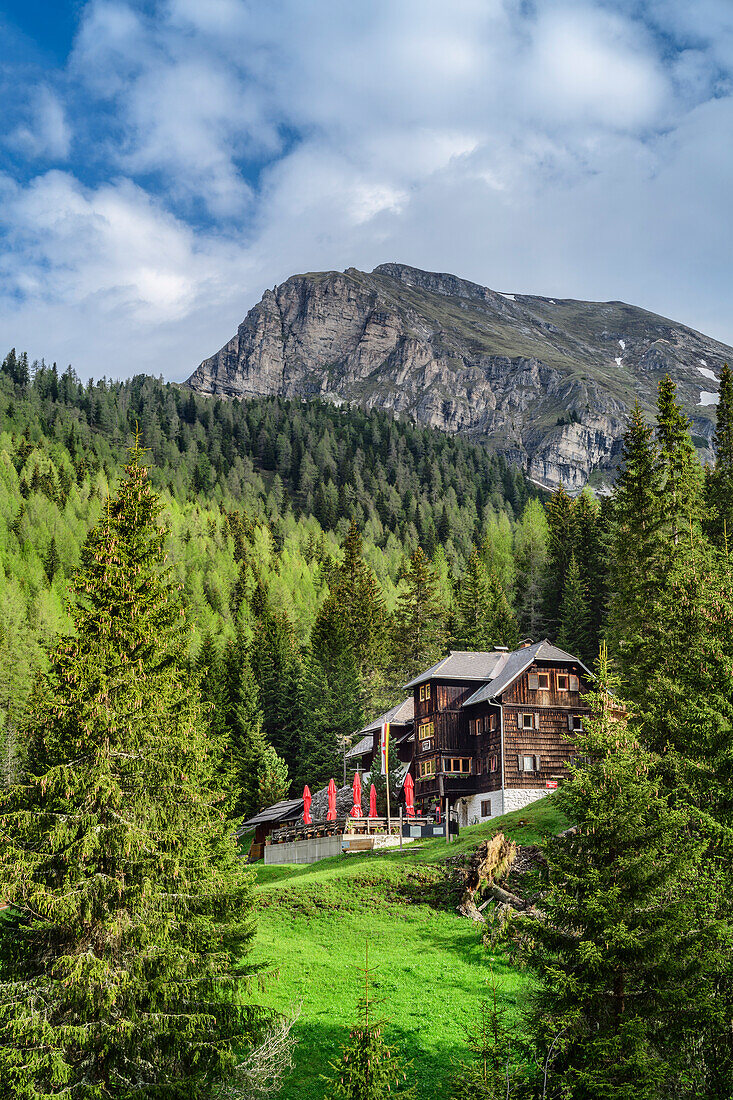 The Erlacherhaus hut stands in a light forest, Predigerstuhl in the background, Erlacherhaus, Nockberge, Nockberge-Trail, UNESCO Nockberge Biosphere Park, Gurktal Alps, Carinthia, Austria