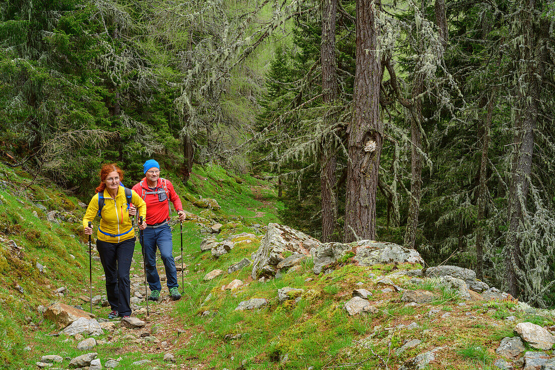 Man and woman hiking on ravine through forest, Nockberge, Nockberge-Trail, UNESCO Biosphere Park Nockberge, Gurktal Alps, Carinthia, Austria