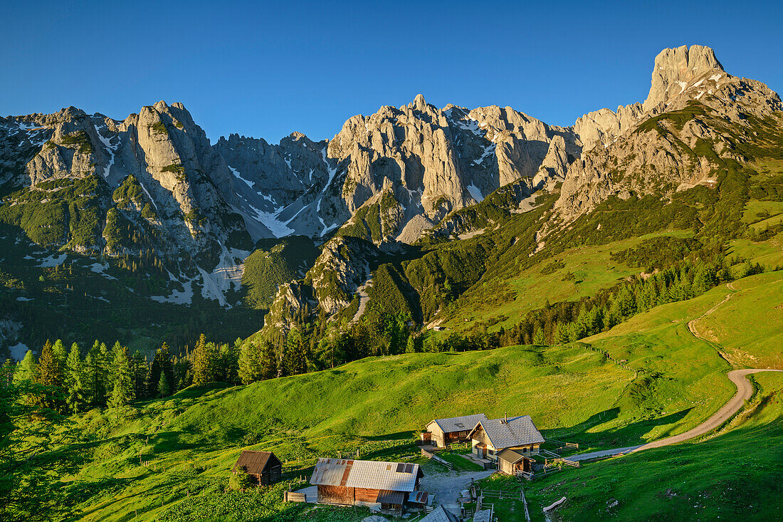 Alpine pastures with Gosaukamm and Bischofsmütze, Loseggalm, Gosaukamm, Dachstein, UNESCO World Heritage Hallstatt, Salzburg, Austria