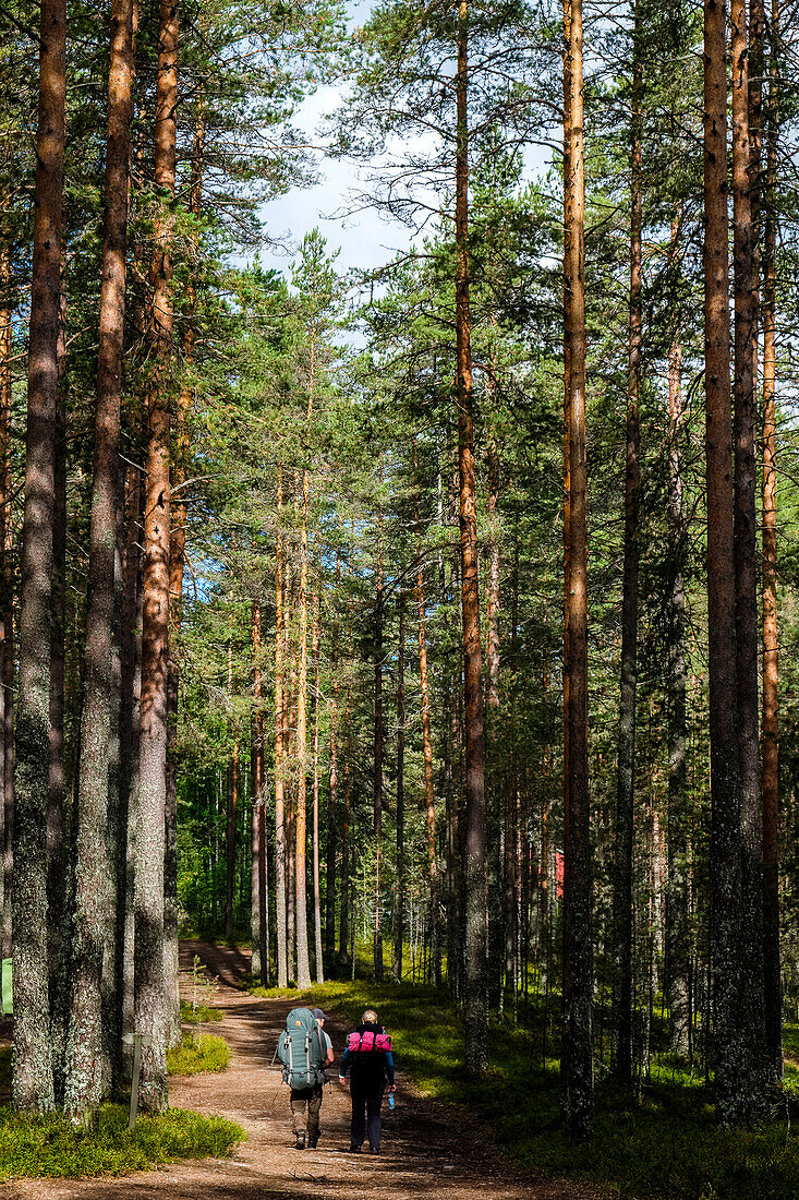 Hikers in Patvinsuo National Park, Finland