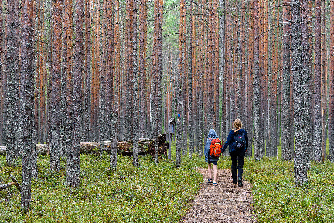 Mutter mit Sohn wandern im Patvinsuo-Nationalpark, Finnland