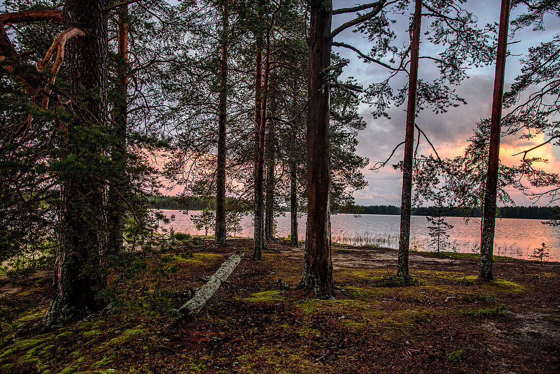 Light mood after thunderstorm in Patvinsuo National Park, Finland
