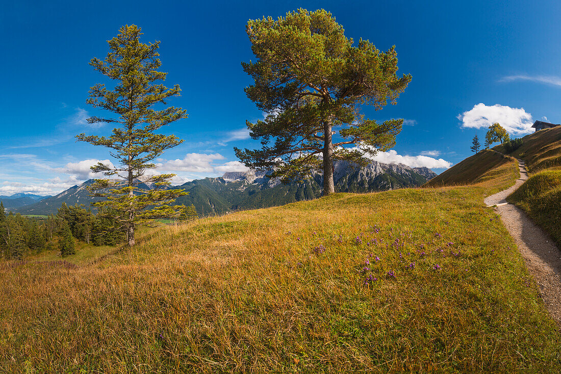 Panorama vom Hoher Kranzberg, 1397m auf das wolkenverhangene Karwendelgebirge, Werdenfelser Land, Oberbayern, Bayern, Deutschland, Europa