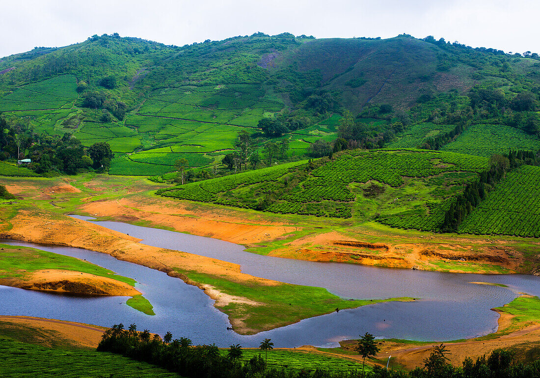 Blick auf Manalar Reservoir und Teefelder in Megamalai, Tamil Nadu, Indien