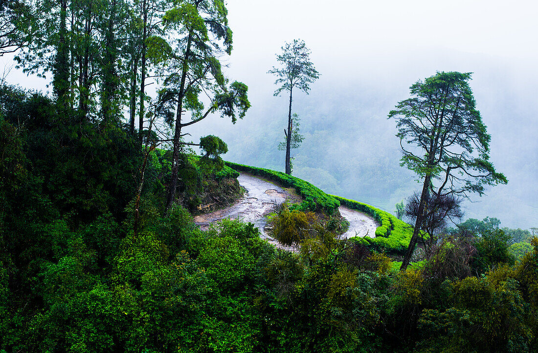 Dangerous Roads on a mountain near Megamalai in Tamil Nadu, India