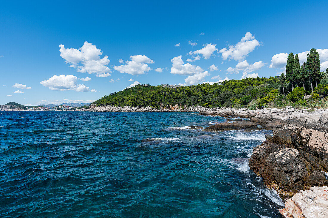 Die Insel Lokrum vor Dubrovnik, Dalmatien, Kroatien.