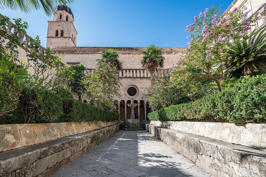 Inside the Franciscan Monastery in the old town of Dubrovnik, Dalmatia, Croatia.