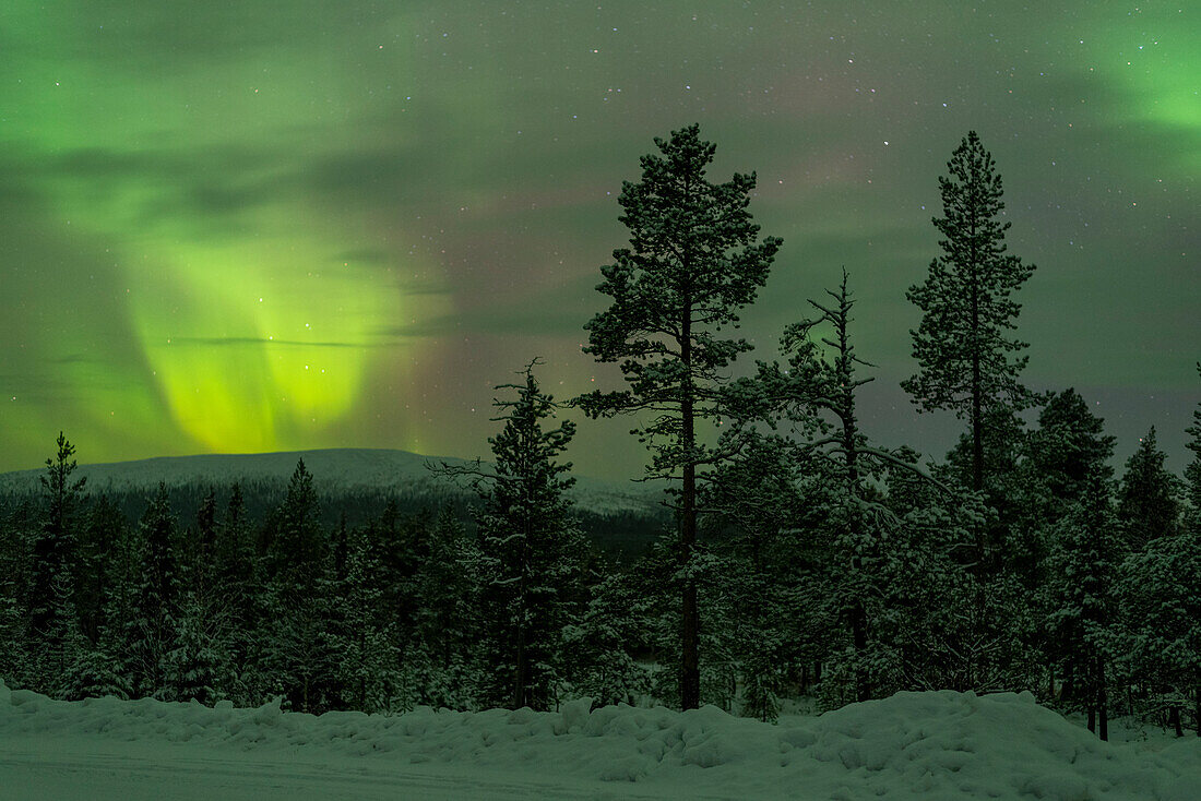 Northern lights, northern lights, Pallastunturi, Muonio, Lapland, Finland