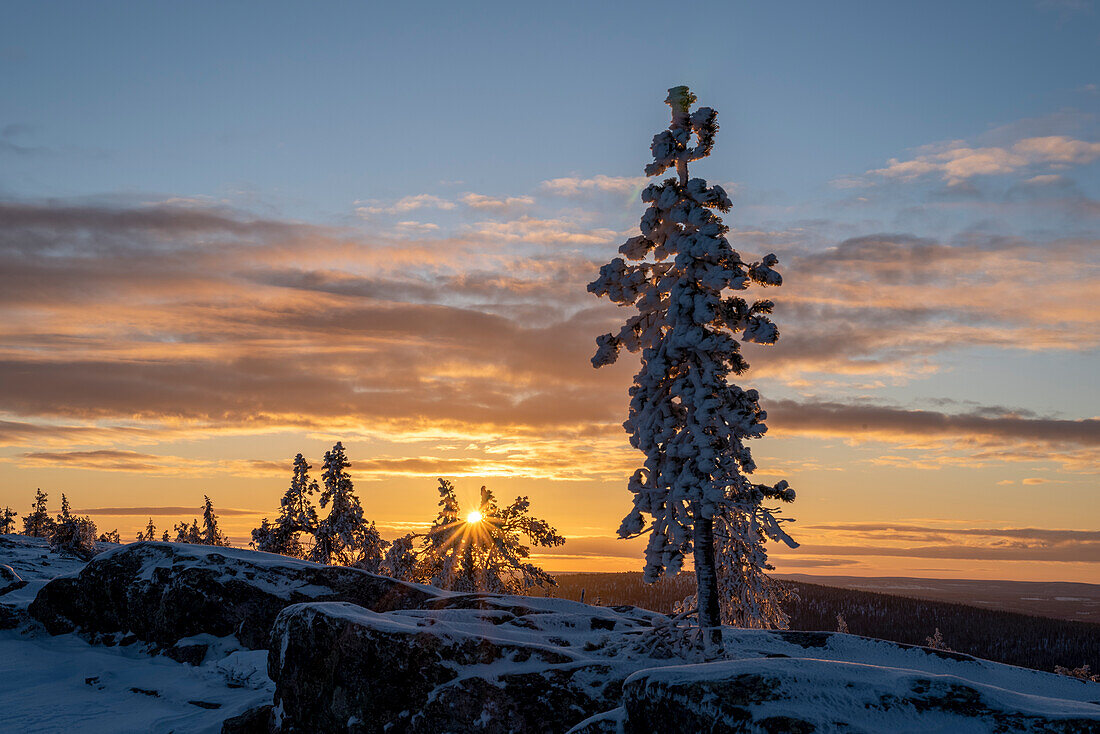 Sonnenuntergang auf dem Särkitunturi, Muonio, Lappland, Finnland