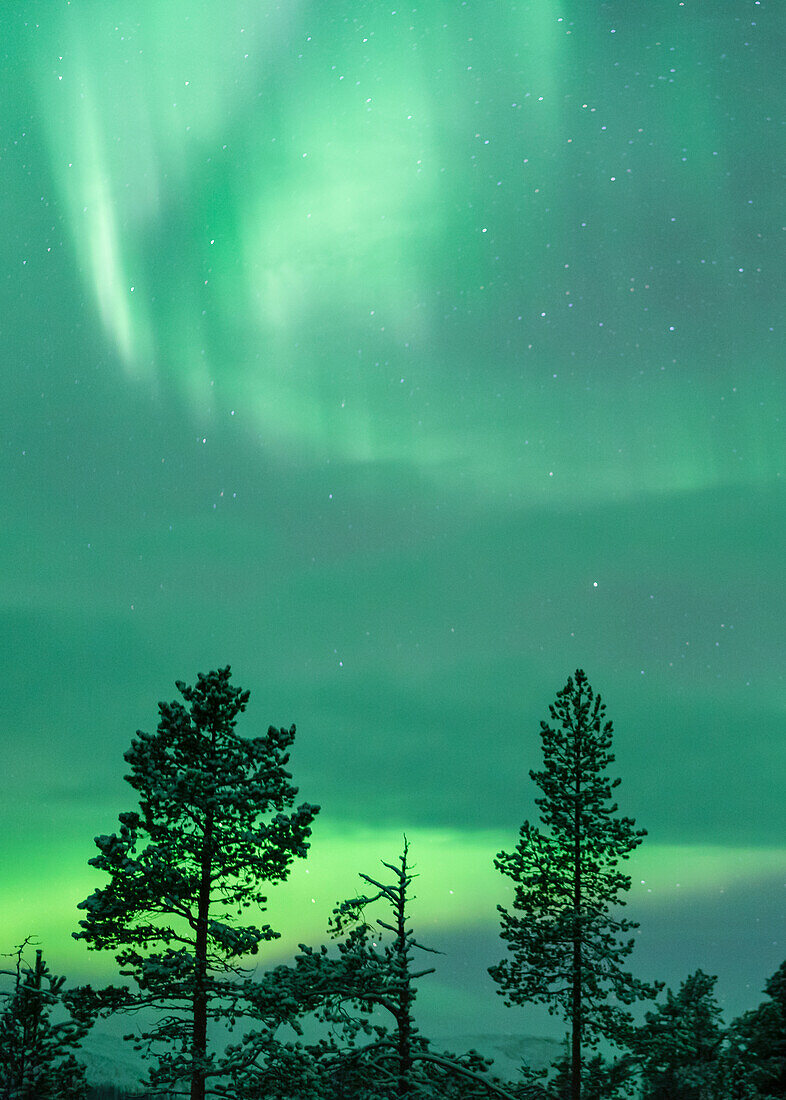 Polarlichter, Nordlichter, Muonio, Lappland, Finnland