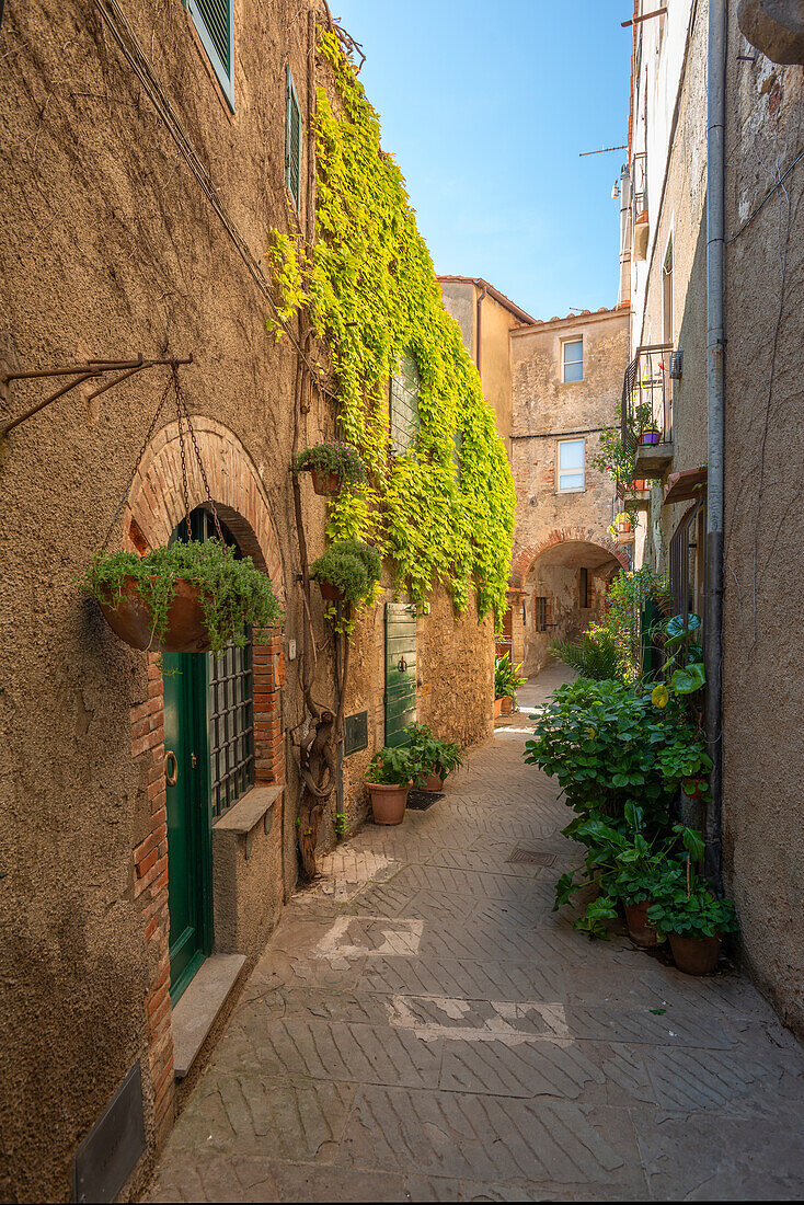 Alley in Capalbio, Maremma, Province of Grosseto, Toscana, Italy