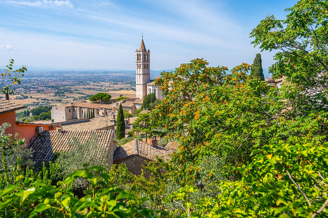 Blick zur Basilica di San Chiara in Assisi, Provinz Perugia, Umbrien, Italien