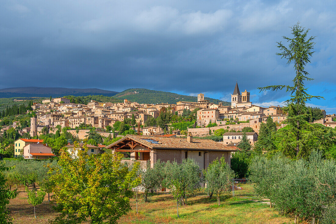 View of Spello, Perugia Province, Umbria, Italy