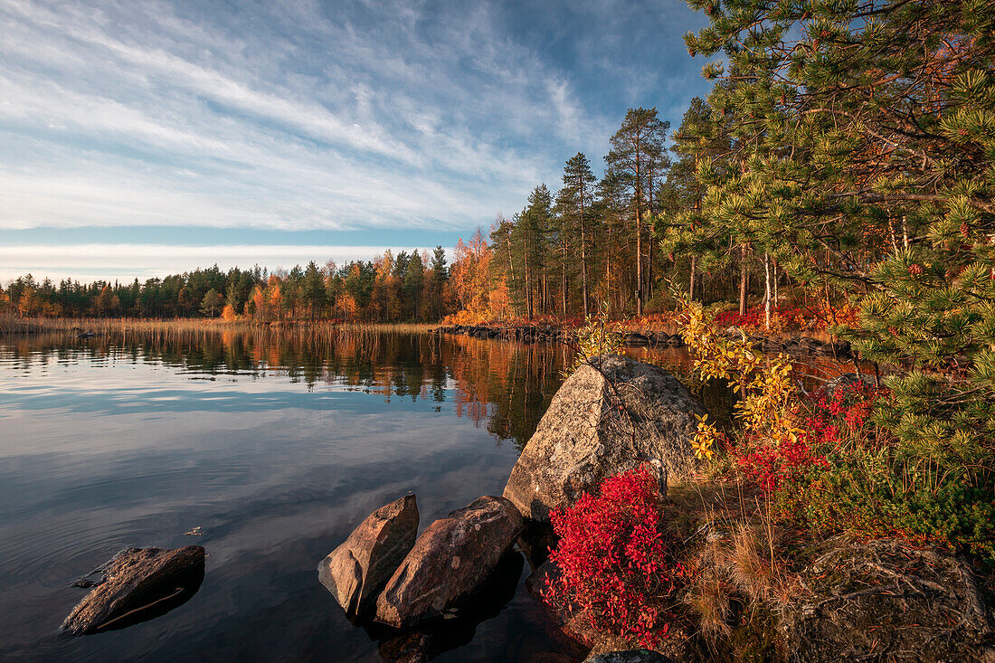 Seeufer im Herbst in Lappland in Schweden bei Sonne am Nachmittag\n