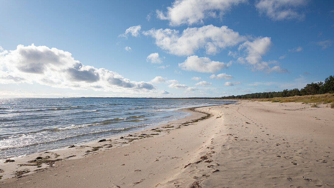 Lyckesand beach on the island of Öland in the east of Sweden with sun and blue sky