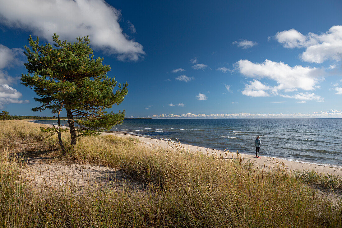 Woman on Lyckesand beach on the island of Öland in the east of Sweden with sun and blue sky