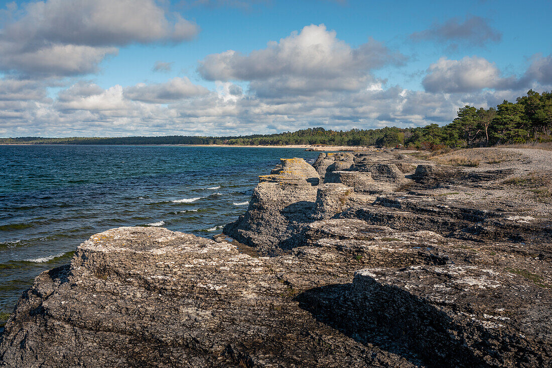 Küste der Insel Öland mit Kalksteinfelsen in Schweden bei Sonne und blauem Himmel 