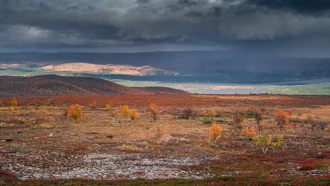 Herbstlandschaft am Kungsleden Wanderpfad im Pieljekaise Nationalpark in Lappland in Schweden\n