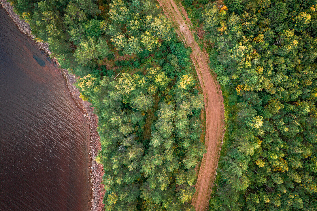 Forest and lakeshore at Lake Siljan from above in Dalarna, Sweden