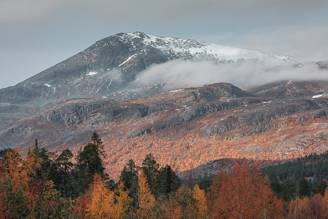 Landschaft mit Bergen und See im Stora Sjöfallet Nationalpark im Herbst in Lappland in Schweden
