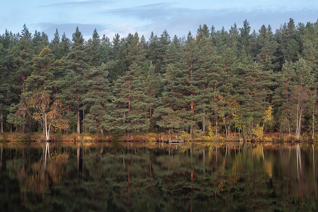 See im Wald im Tiveden Nationalpark in Schweden\n