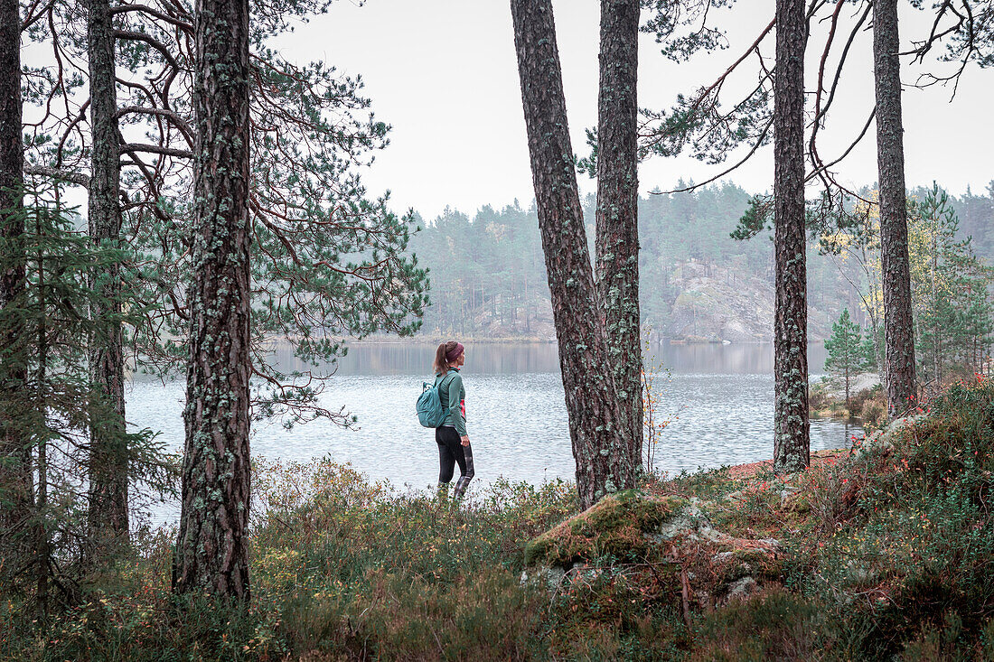 Frau wandert am See im Wald des Tiveden Nationalpark in Schweden\n