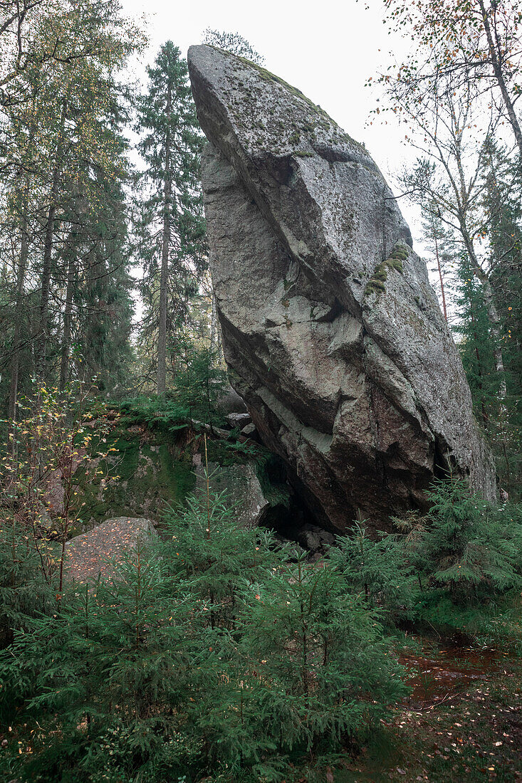 Large standing boulder in the forest in Tiveden National Park in Sweden