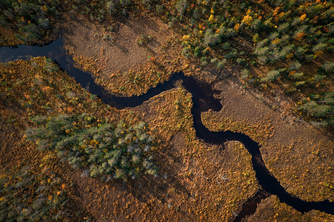 Fluss mit Wald im Herbst in Jämtland in Schweden von oben\n