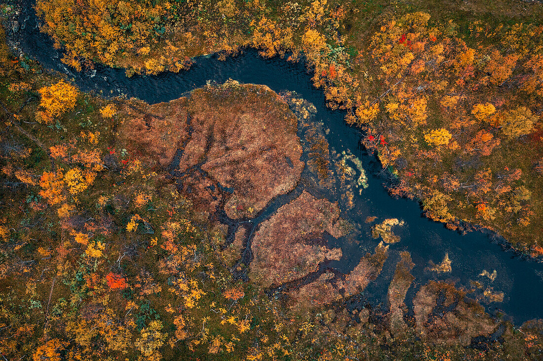 Fluss an der Wilderness Road mit Bäumen im Herbst in Jämtland in Schweden von oben\n