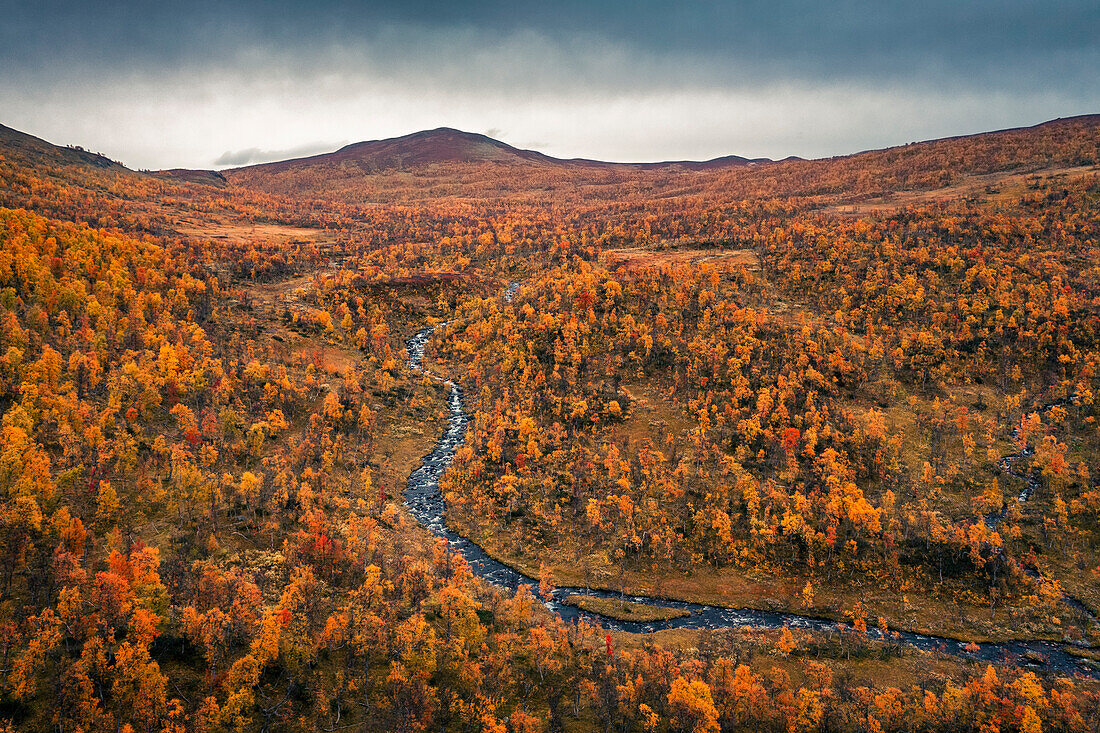 River and mountains along the Wilderness Road with trees in autumn in Jämtland in Sweden from above