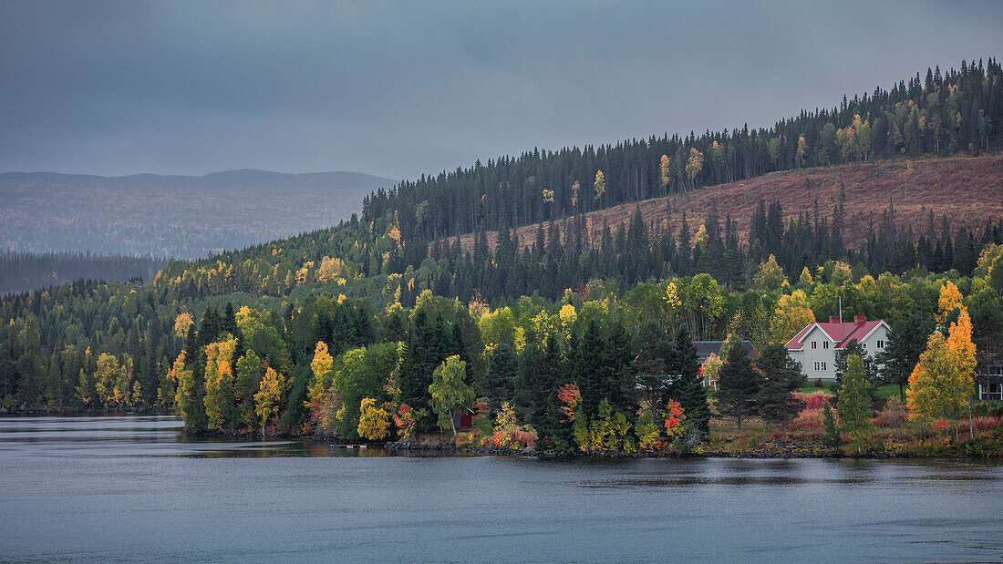 Bunte Bäume mit Häusern und See entlang der Wilderness Road im Herbst in Jämtland in Schweden\n