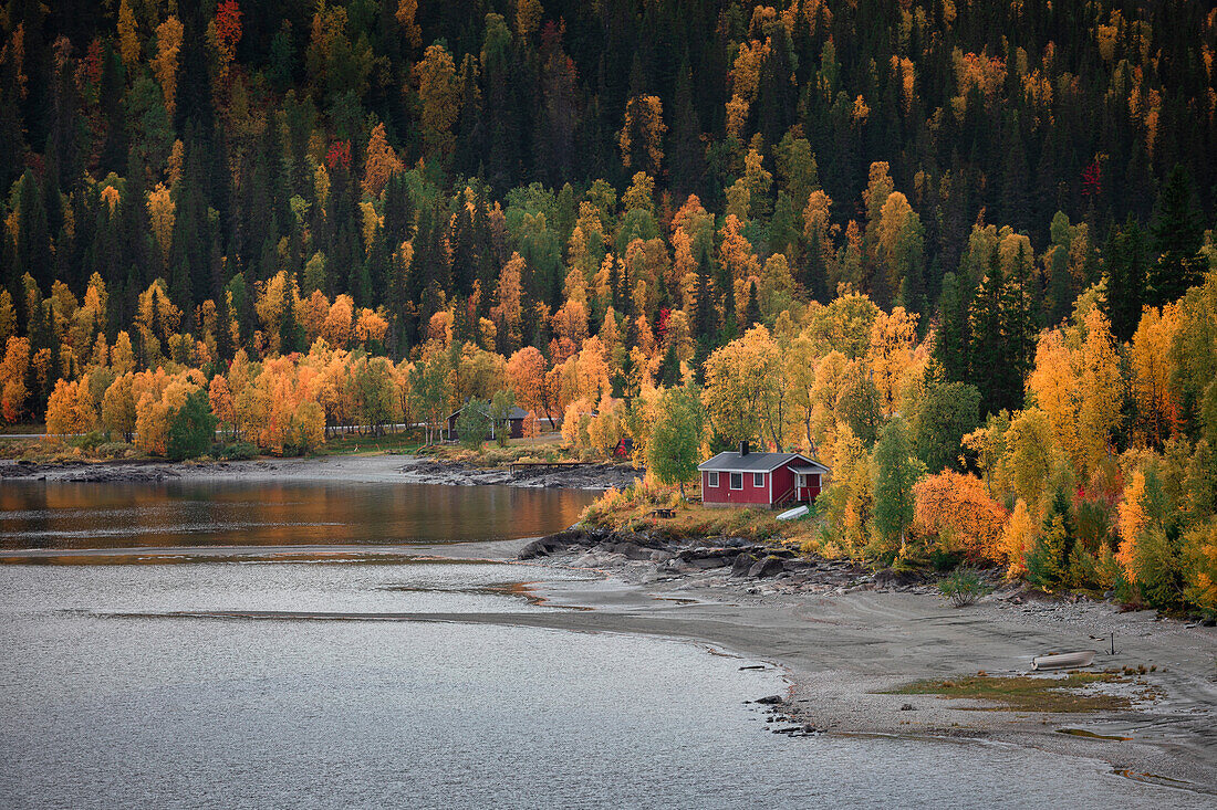 Red cabin by the lake with trees along the Wilderness Road in autumn in Jämtland in Sweden