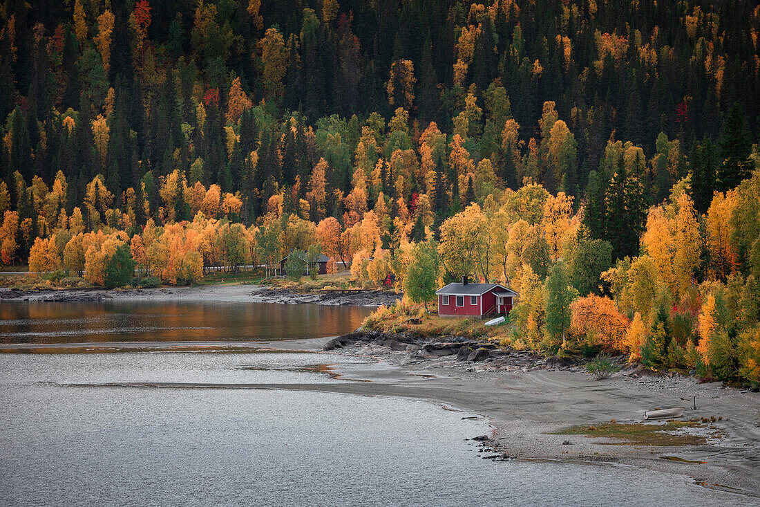 Rote Hütte am See mit Bäumen entlang der Wilderness Road im Herbst in Jämtland in Schweden\n