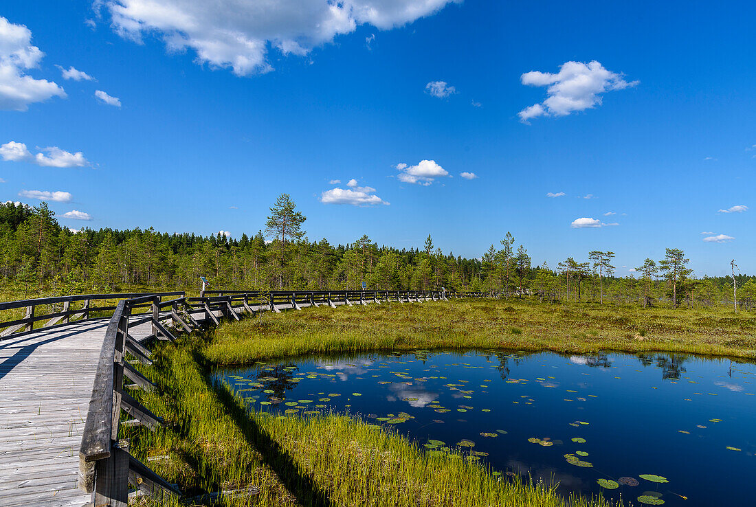 Lake in Seitseminen National Park, Finland