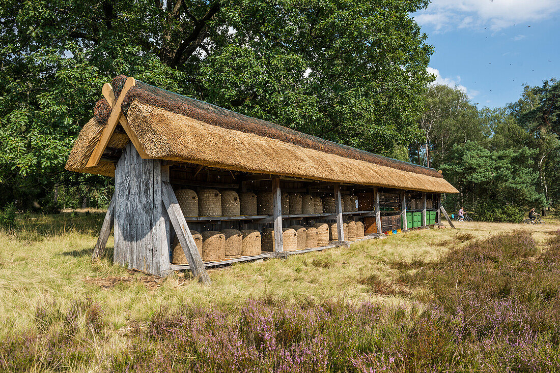 Bienenstöcke, bei Niederhaverbeck, Naturpark Lüneburger Heide, Niedersachsen, Deutschland