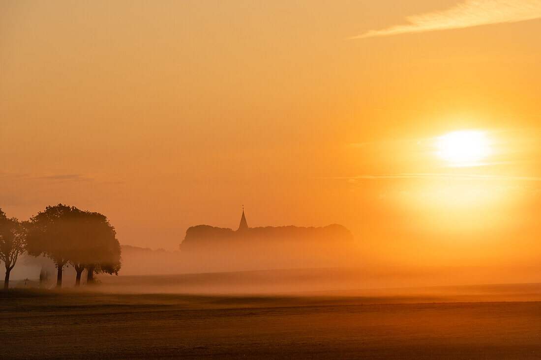 Sonnenaufgang mit einer Kirche und Allee im Nebel, Neukirchen,  Ostholstein, Schleswig-Holstein, Deutschland