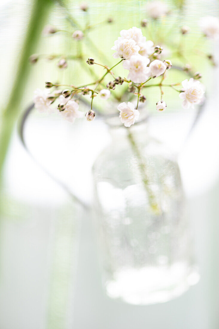 White decoration with flowers in a glass bottle