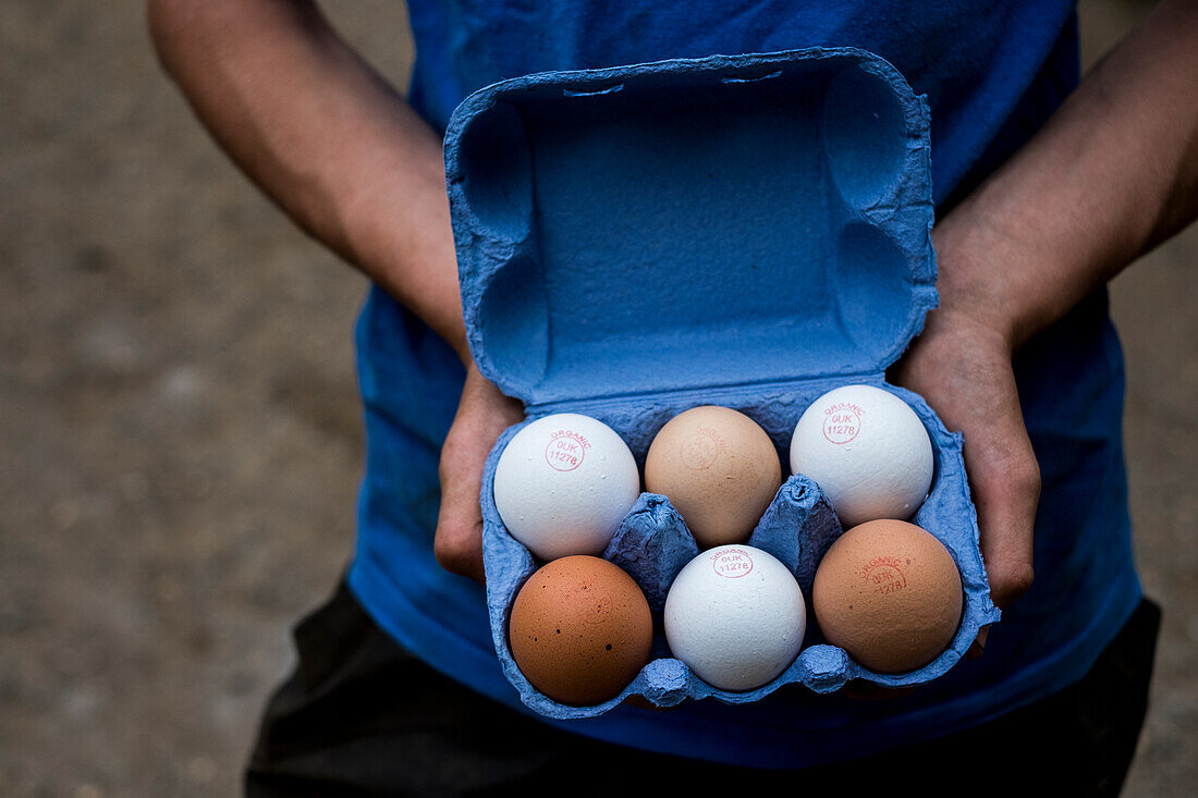 Close up of person holding blue carton of brown and white eggs