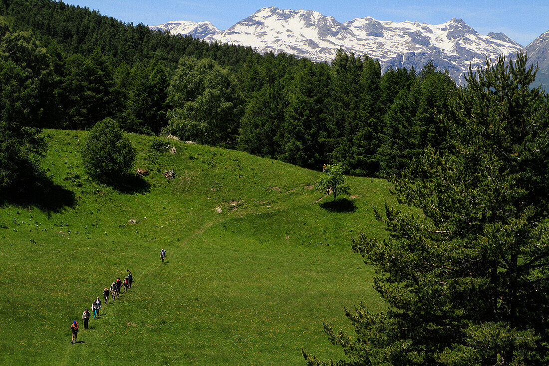 Wanderer auf sonnigen grasbewachsenen Talweg unterhalb der Berge, Piemont, Italien