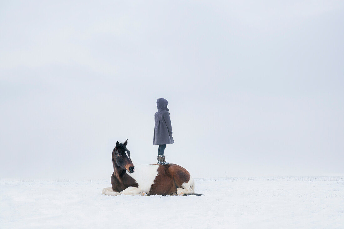 Mädchen, das auf einem Pferd steht, das auf einem schneebedeckten Gebiet liegt