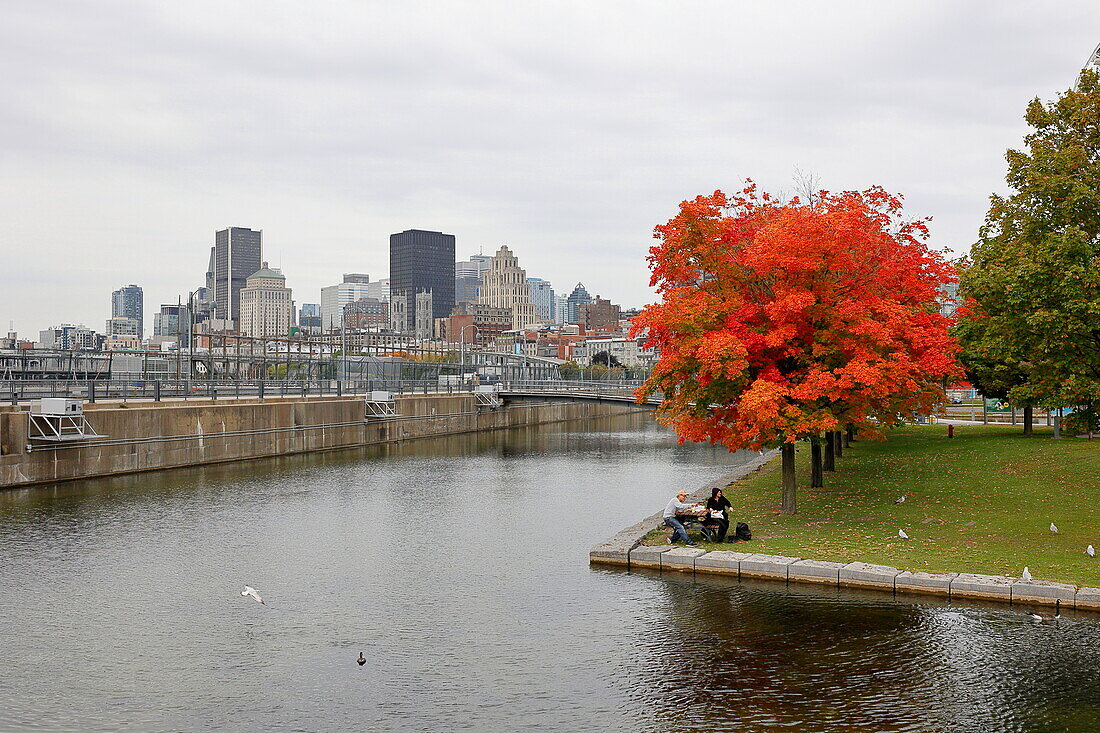 Herbstfarben in Alt Montreal, Kanada