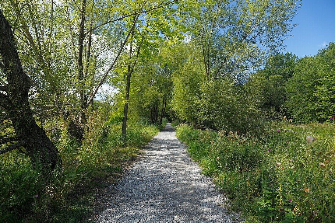 River landscape with a nature reserve on the Sankt Lorenz Strom, Quebec, Canada