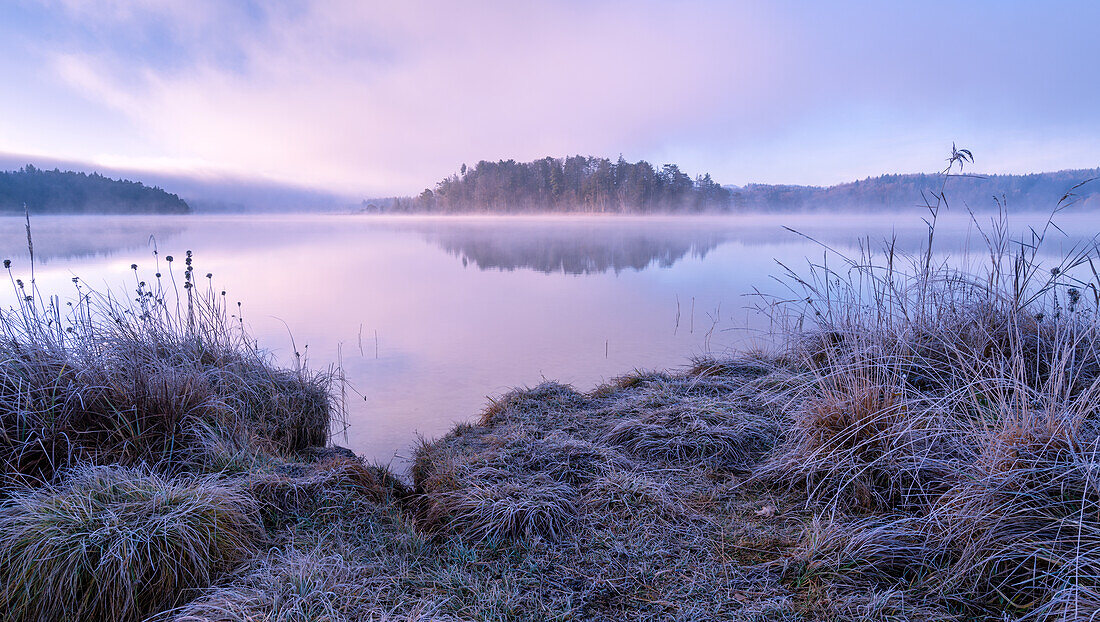 Sonniger Wintermorgen an den Osterseen, Bayern, Deutschland, Europa