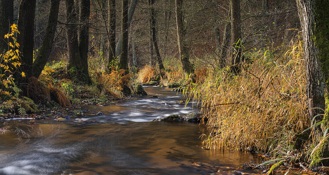 Autumn at the Otterbach; Bayern Germany; Europe