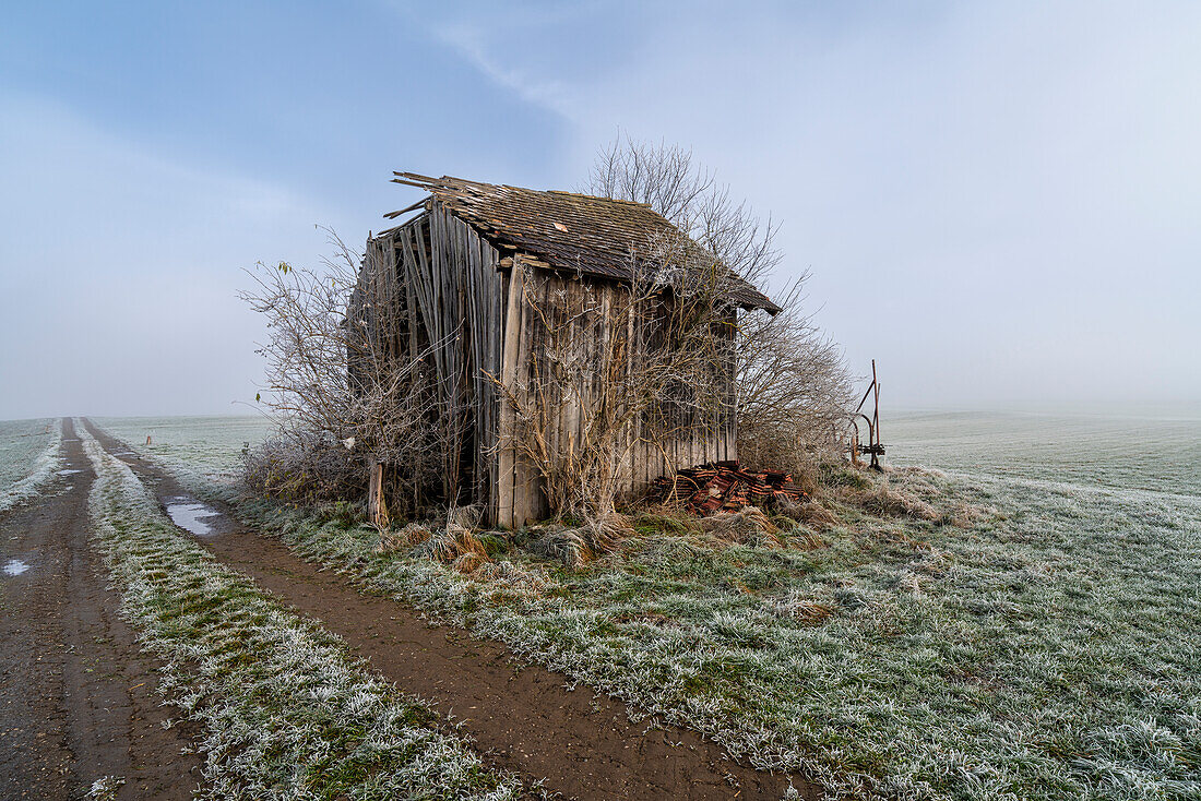 Old barn near Etting on a late autumn morning, Upper Bavaria, Bavaria, Germany